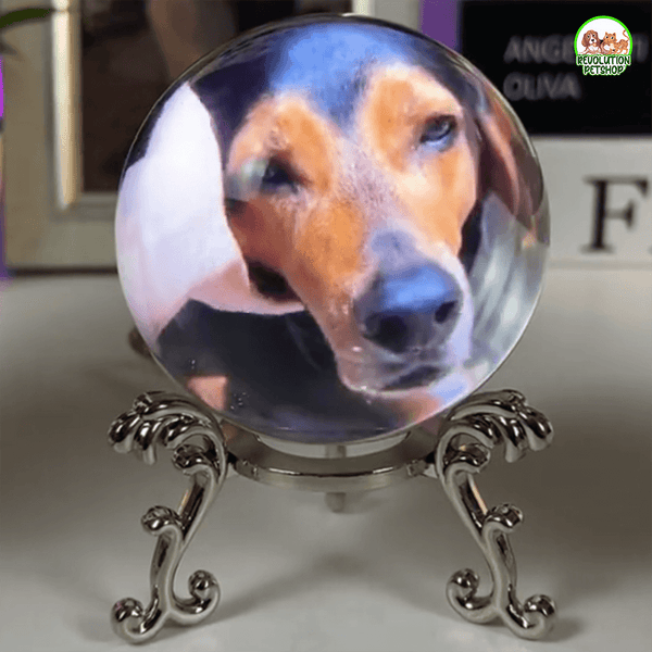 SFERA DI CRISTALLO VIDEO PERSONALIZZATO