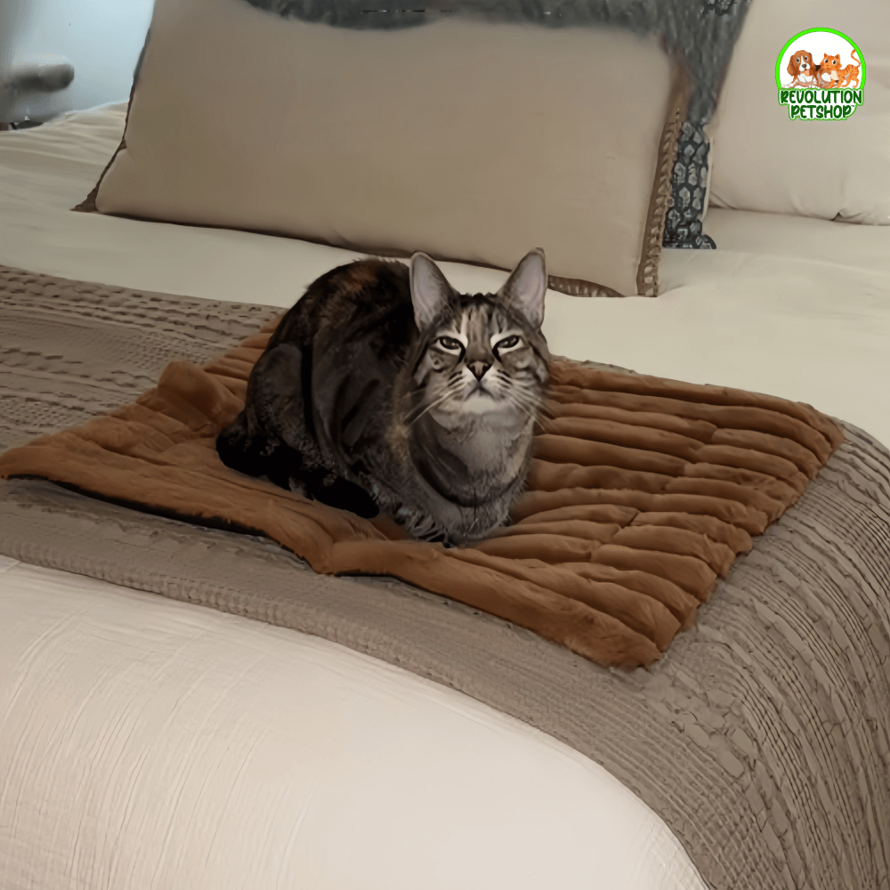 TAPPETINO AUTORISCALDANTE INVERNALE SCALDAPELO™