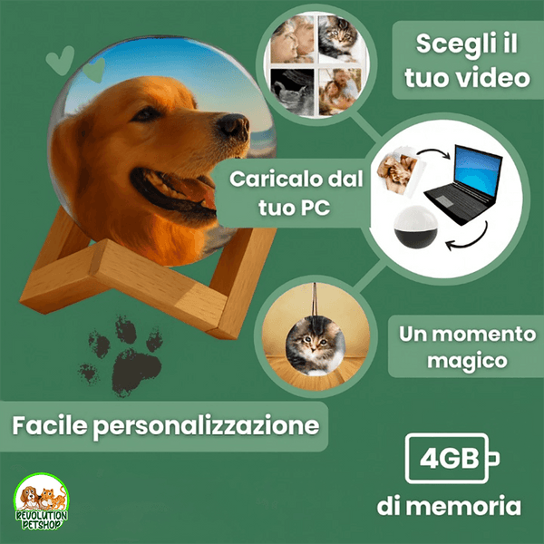 SFERA DI CRISTALLO VIDEO PERSONALIZZATO