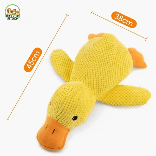 PAPEROTTO QUACKOTTO™