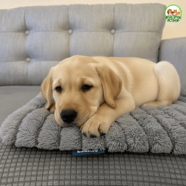 TAPPETINO AUTORISCALDANTE INVERNALE SCALDAPELO™