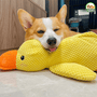 PAPEROTTO CALMANTE QUACKOTTO™