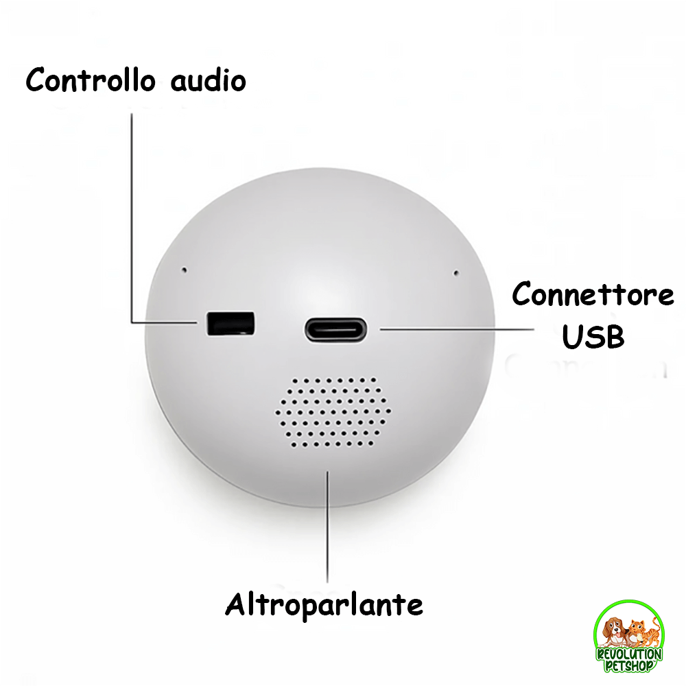 SFERA DI CRISTALLO VIDEO PERSONALIZZATO