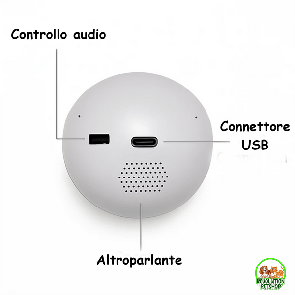 SFERA DI CRISTALLO VIDEO PERSONALIZZATO