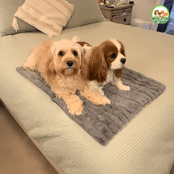 TAPPETINO AUTORISCALDANTE INVERNALE SCALDAPELO™