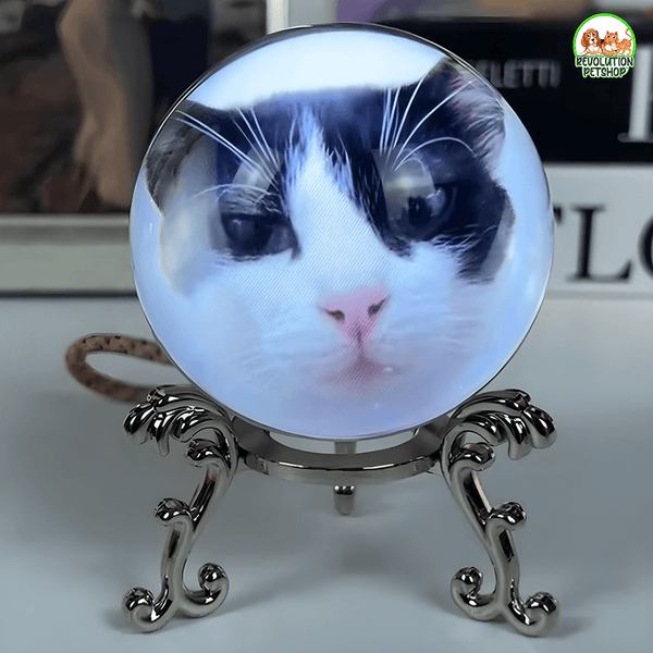 SFERA DI CRISTALLO VIDEO PERSONALIZZATO
