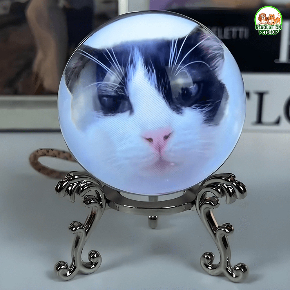 SFERA DI CRISTALLO VIDEO PERSONALIZZATO
