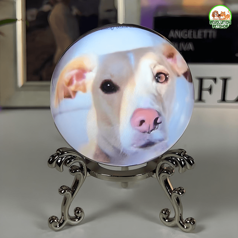 SFERA DI CRISTALLO VIDEO PERSONALIZZATO