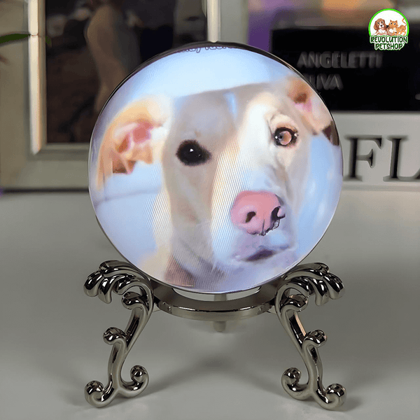 SFERA DI CRISTALLO VIDEO PERSONALIZZATO