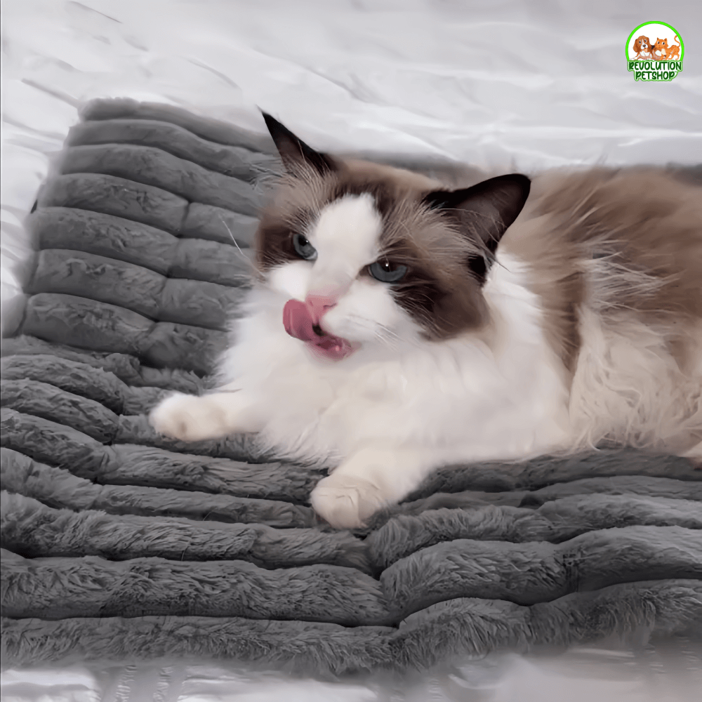 TAPPETINO AUTORISCALDANTE INVERNALE SCALDAPELO™