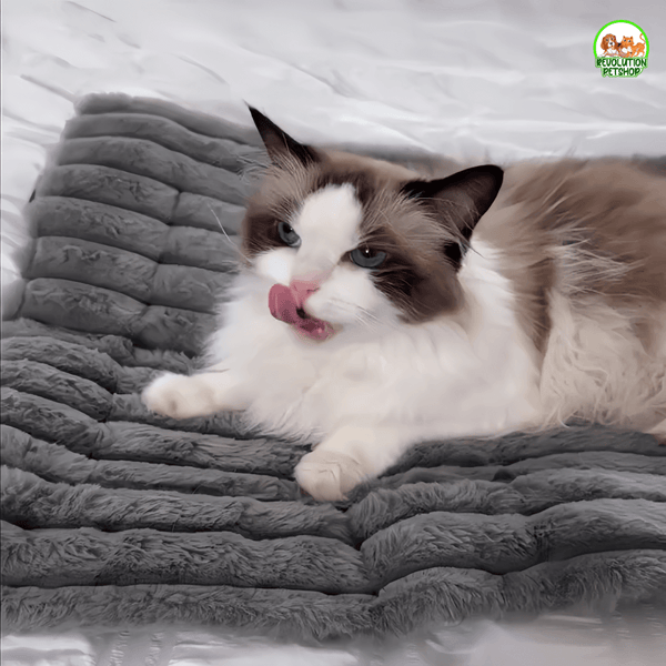 TAPPETINO AUTORISCALDANTE INVERNALE SCALDAPELO™