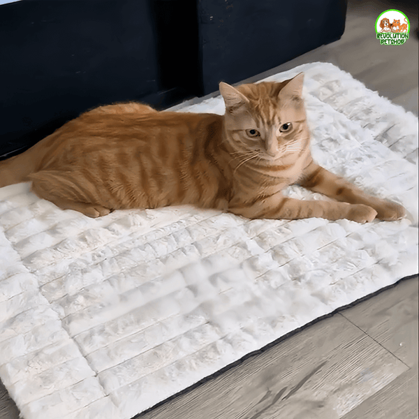 TAPPETINO AUTORISCALDANTE INVERNALE SCALDAPELO™