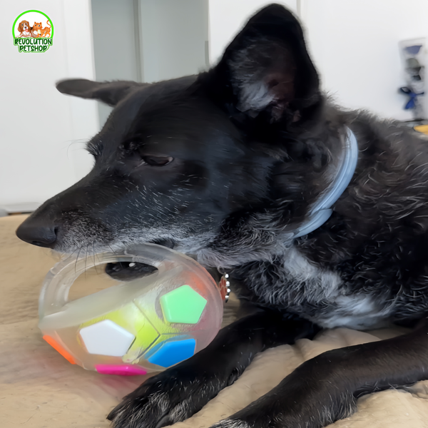 ZAMPAGOL™ PALLA DA CALCIO PER CANI