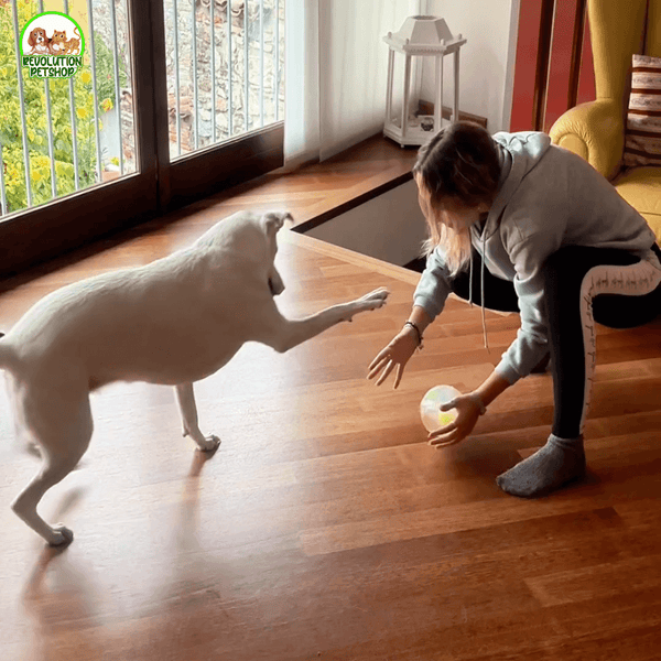ZAMPAGOL™ PALLA DA CALCIO PER CANI