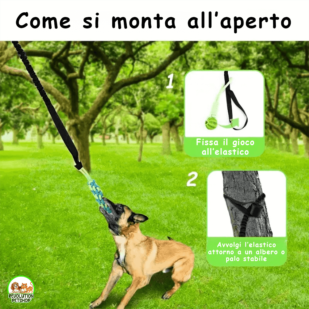 MORDIMOLLA™