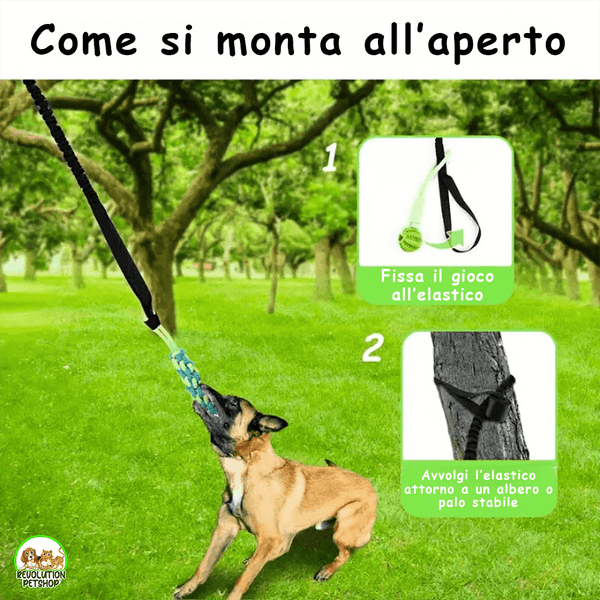 MORDIMOLLA™