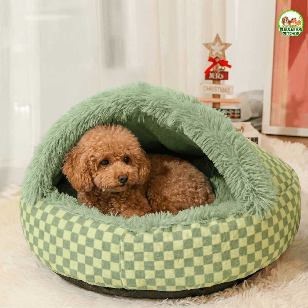 CUCCIA A CAVERNA PELOCOCCOLA™