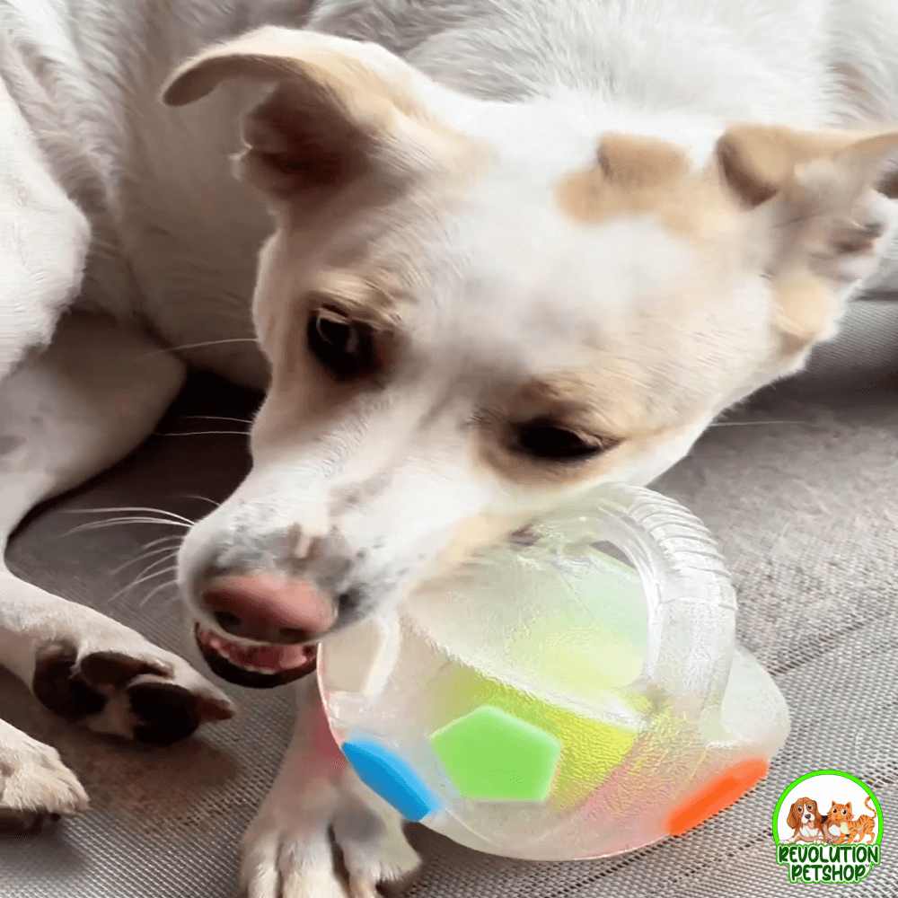 ZAMPAGOL™ PALLA DA CALCIO PER CANI