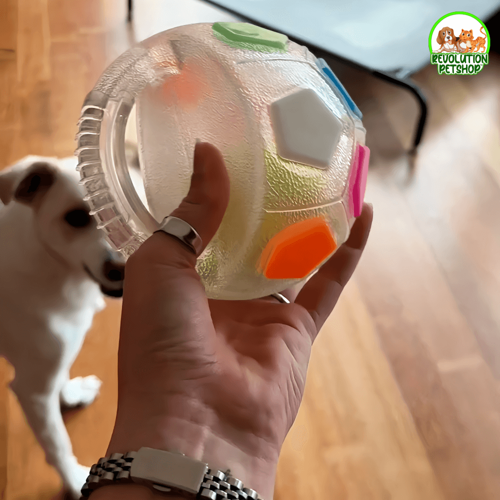 ZAMPAGOL™ PALLA DA CALCIO PER CANI