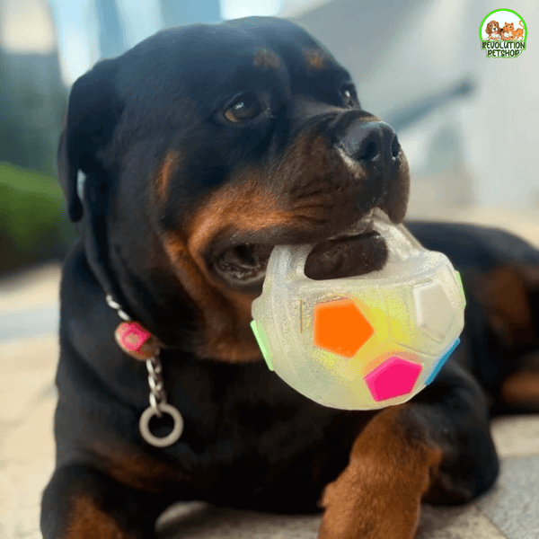 ZAMPAGOL™ PALLA DA CALCIO PER CANI