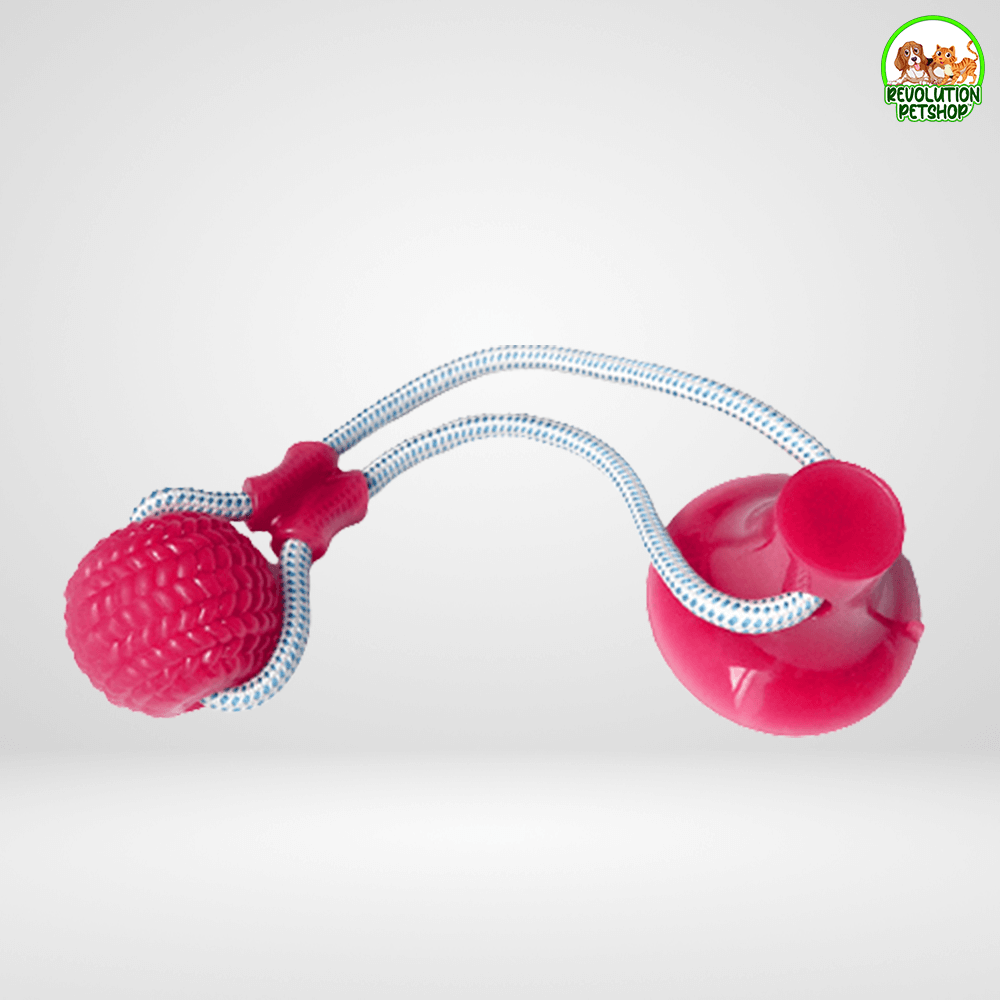 PALLINA GIOCO CON VENTOSA BALLDOG™