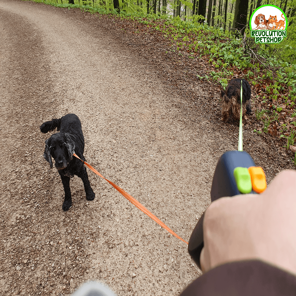 GUINZAGLIO DOPPIO ANTI-GROVIGLIO "GUINZYPET™"