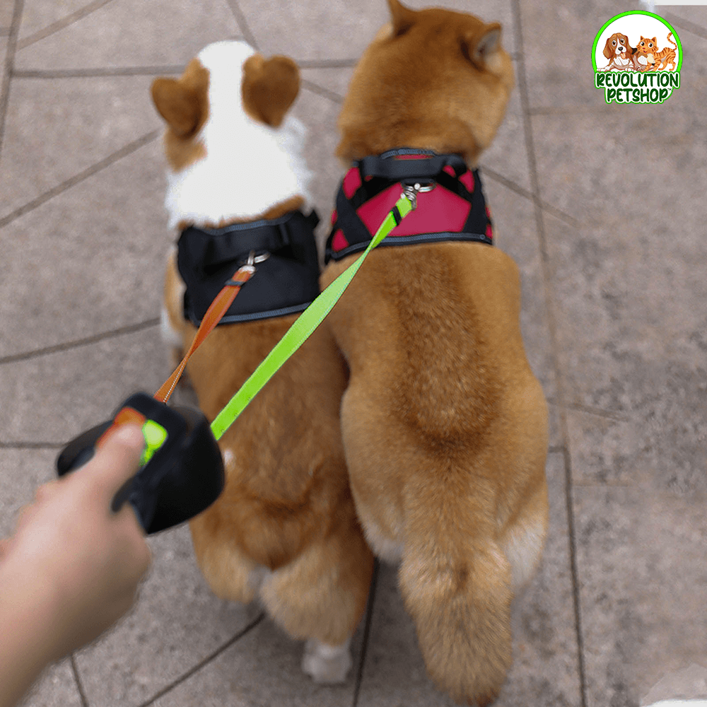 GUINZAGLIO DOPPIO ANTI-GROVIGLIO "GUINZYPET™"