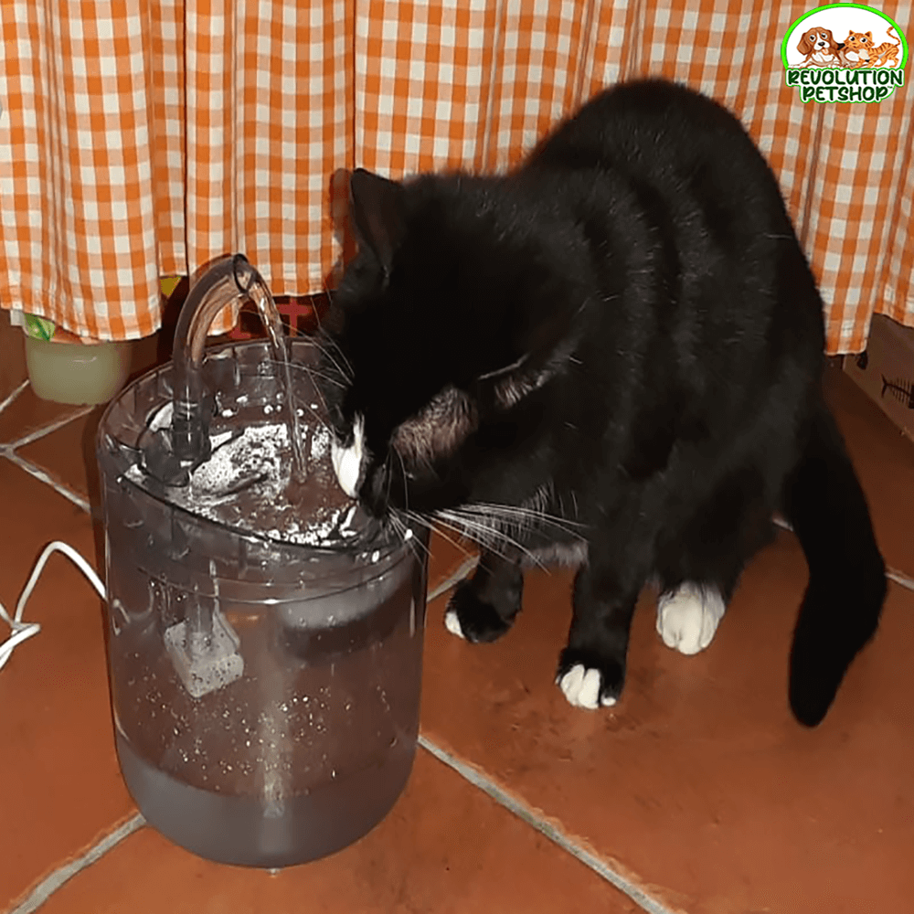 FONTANELLA TRASPARENTE PER ANIMALI "IDROPET" CON SENSORE DI MOVIMENTO