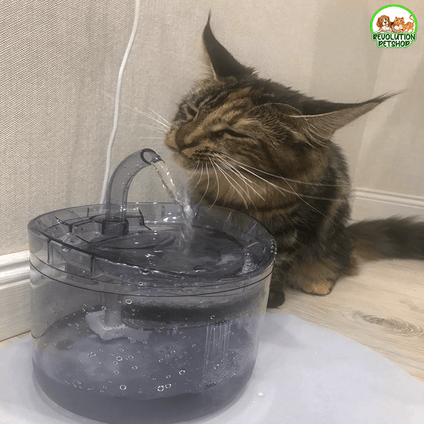 FONTANELLA TRASPARENTE PER ANIMALI "IDROPET" CON SENSORE DI MOVIMENTO
