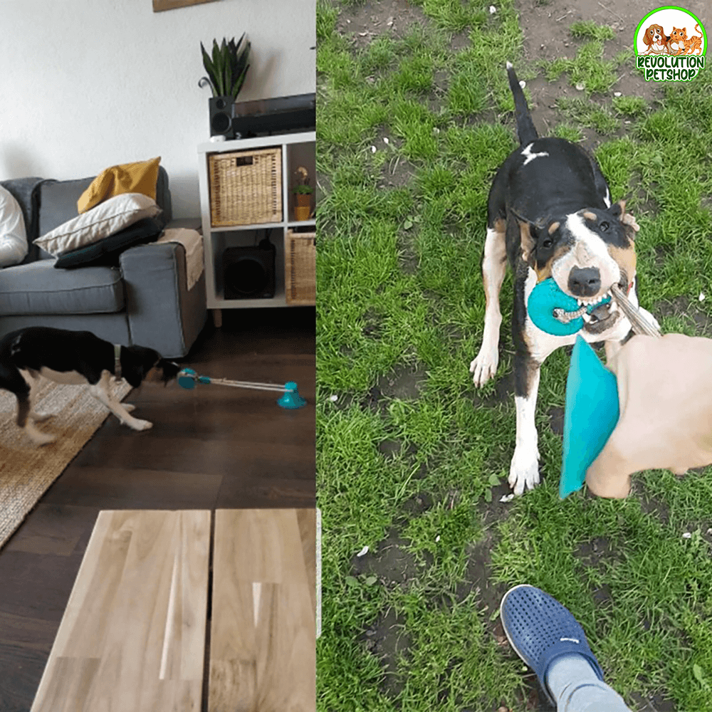PALLINA GIOCO CON VENTOSA BALLDOG™