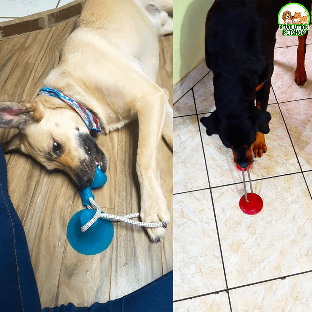 PALLINA GIOCO CON VENTOSA BALLDOG™