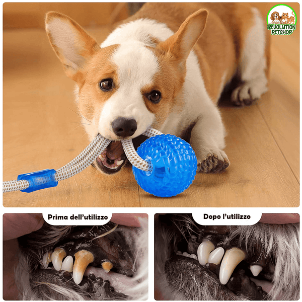 PALLINA GIOCO CON VENTOSA BALLDOG™